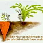 Büşra
