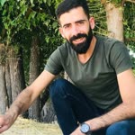 Fidan