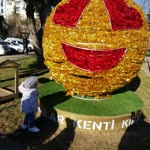 Hande