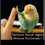 Birsen