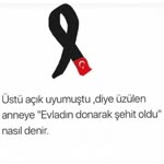 Taylan