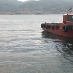 Erdem