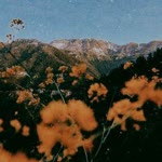 Songül