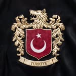Ercan