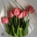 Profil fotoğrafı