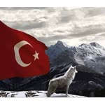 Doğan