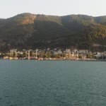 Murat