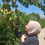 Profil fotoğrafı