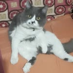 Sıdıka