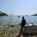 Doğan