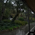 Nurettin