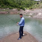 Veysi