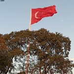 Yusuf