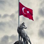 Cem