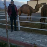 Tolga