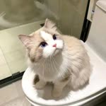 Zeynep
