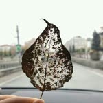 Seher