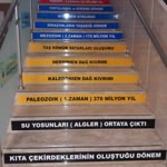 Mücahit