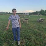 Mehmet