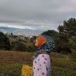 Yasemin