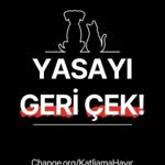 Muammer