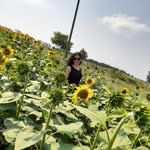 Derya