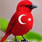 Ekrem