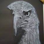 Kadir
