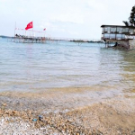 Duygu