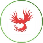 Ankanın