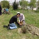 Umut