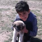 Fatma