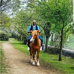 Metin