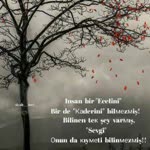 Ayşe