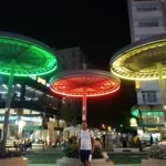 Habib