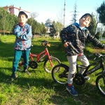 Celil
