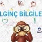 Bilgin