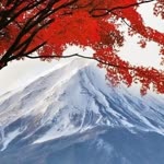 Bunyamin