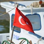 Şahin