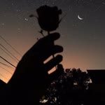 Seher