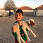 Harun