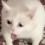 Ege