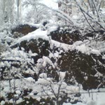 Mendoza