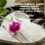 Amine