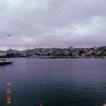 Derya