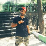 Mohammadreza
