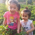 Orhan