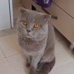 Semra