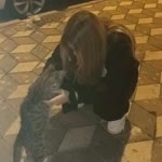 Sibel