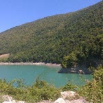 Hanife